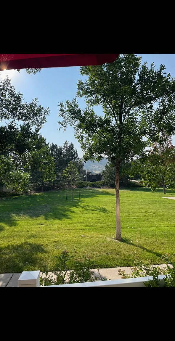 2 bed, 1459 sqft, $2,450 — Photo 2