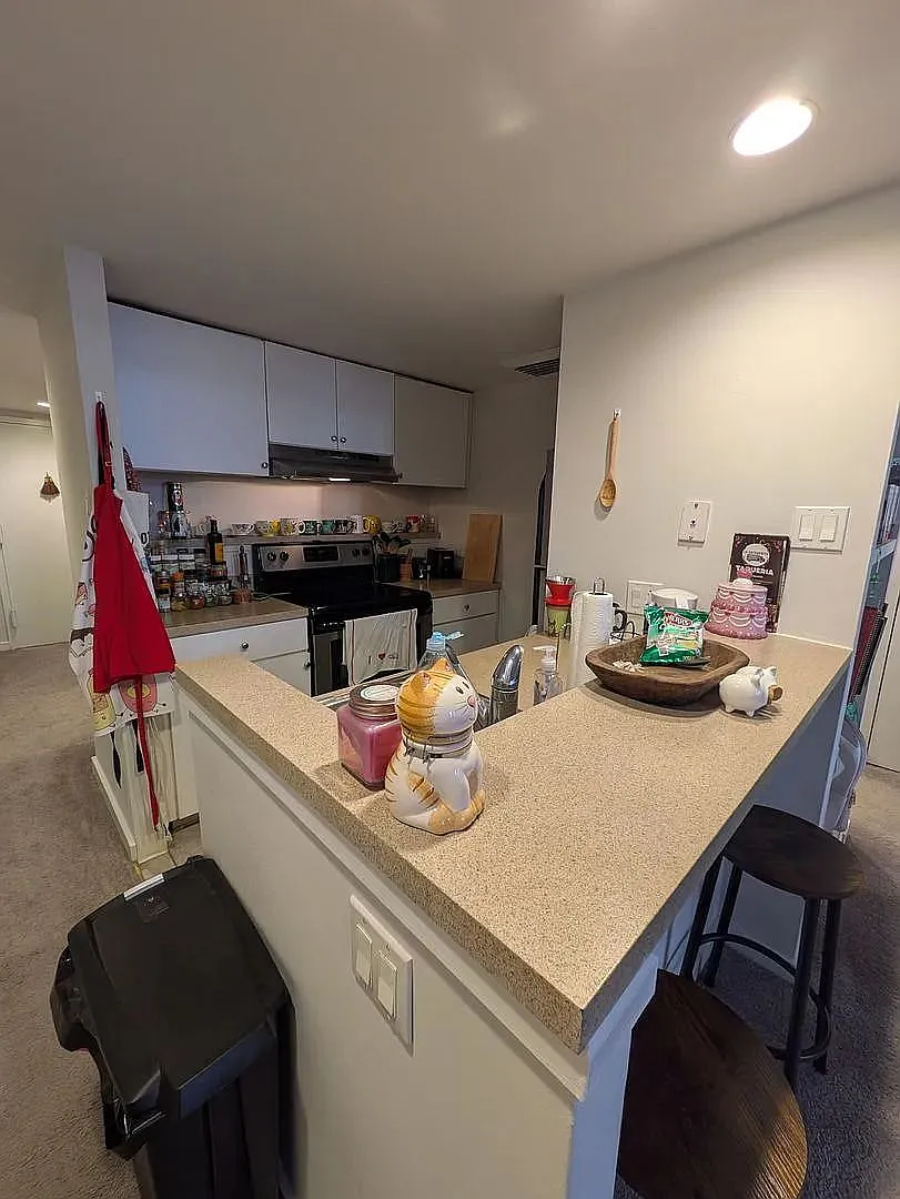 237 Chestnut St — Photo 4