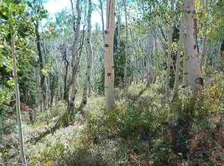 477 W Ski View Dr, Brian Head, UT 84719