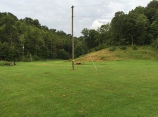 3570 Millers Run Back Run Rd, Lucasville, OH
