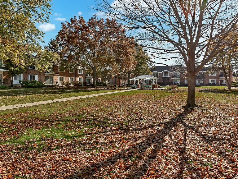 ReNew on Naper — Photo 47