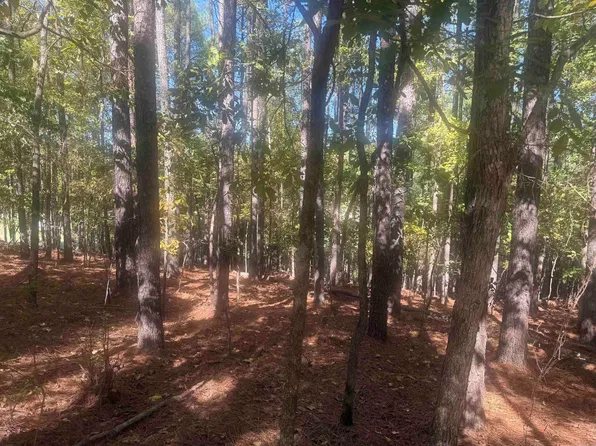 10 Ruedo Ln, Hot Springs Village, AR 71909
