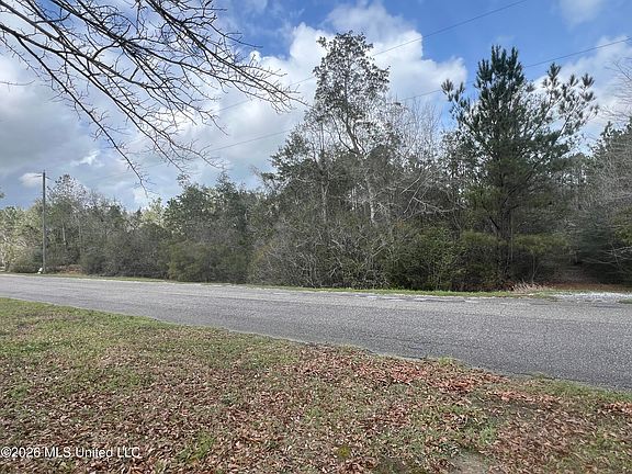 2nd image of 0 Vic Wertz Rd Lot 56