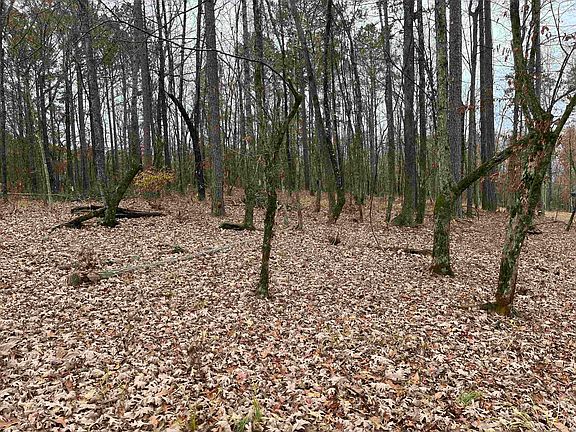 4th image of LOT 11 White Oak Cir