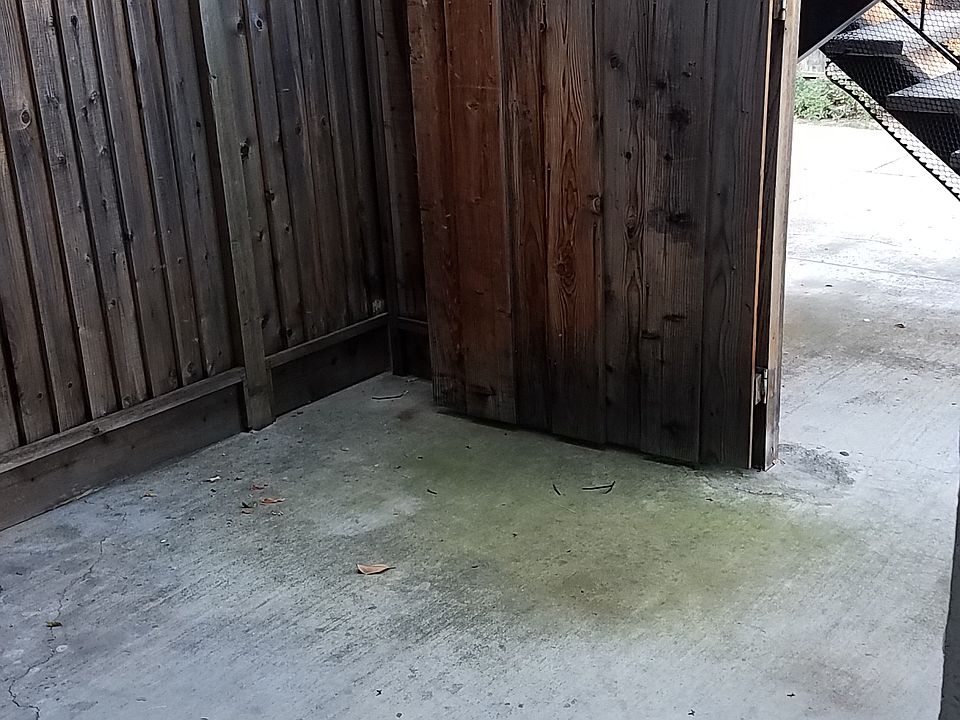 1st image of 881 Branham Ln APT 2