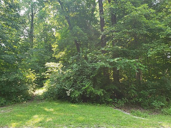 5th image of 101 Forest Haven Dr