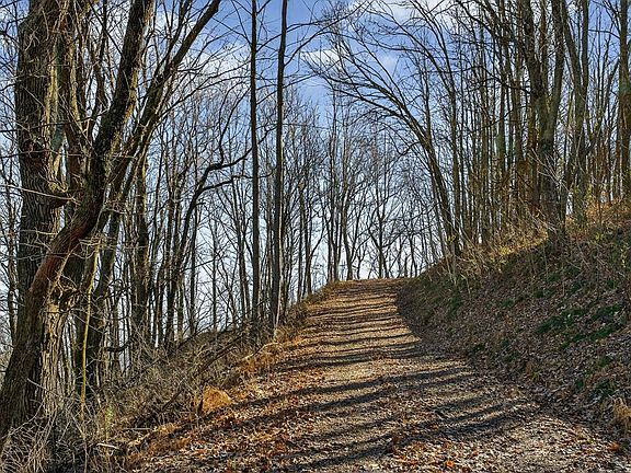 60th image of this home