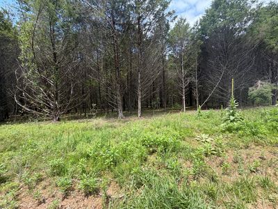 000 County Road 318 Lot 8, Tecumseh, MO, 65760