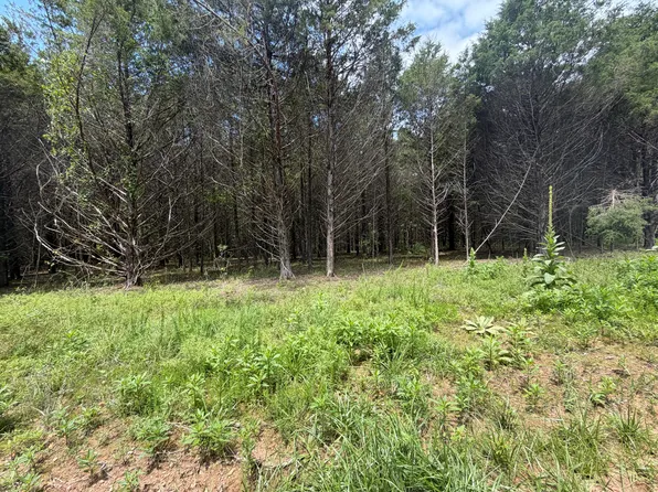 000 County Road 318 Lot 8, Tecumseh, MO 65760