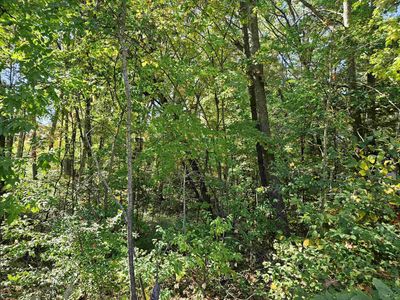 36 Lakeview Dr, Harrison, MI, 48625