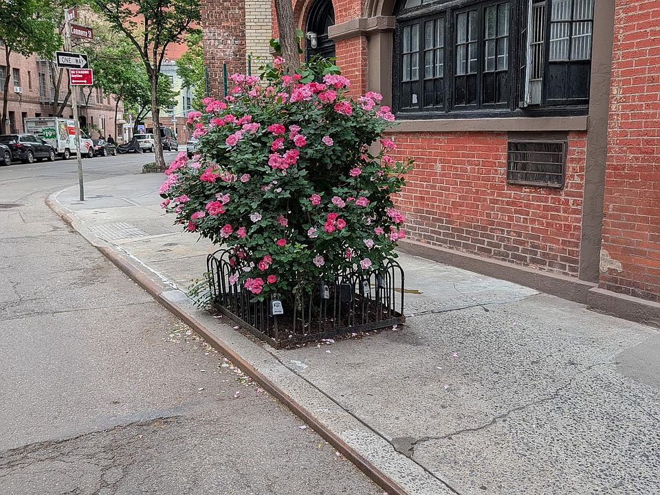 1st image of 70 Barrow St APT 5FW