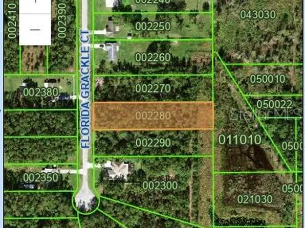 Florida Grackle Ct Lot 228, Frostproof, FL 33843