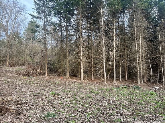5th image of 6201 Us Highway 20 Lot 13