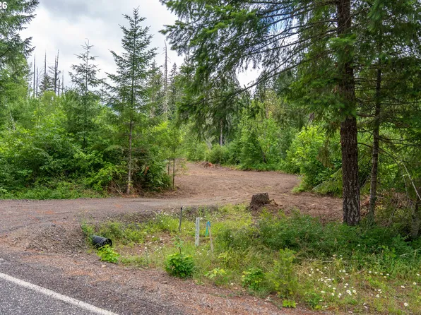 10392 Wind River Hwy, Carson, WA 98610