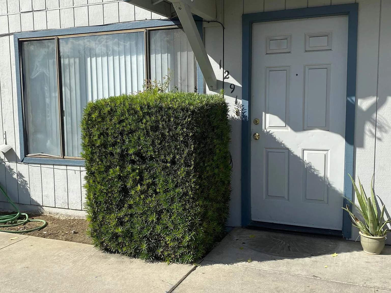 2 bed, 1.5 bath, 1000 sqft, $1,450 — Photo 2