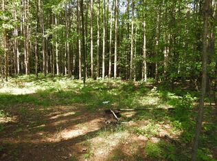 N 34th Ave, Mears, MI 49436