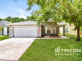11140 Rising Mist Blvd, Riverview, FL 33578