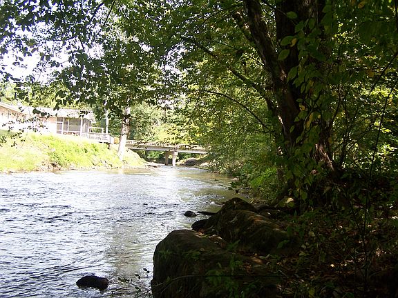 Along creek front, facing N