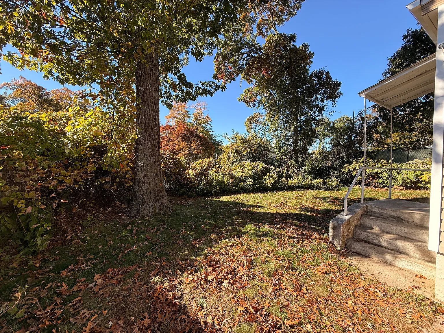 2 bed, 750 sqft, $3,000 — Photo 3