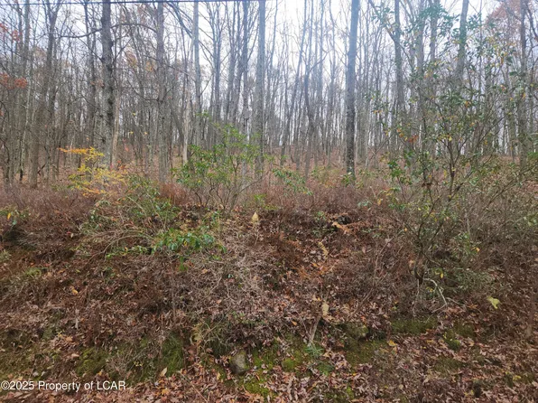 1212 Woodhaven Dr, White Haven, PA 18661