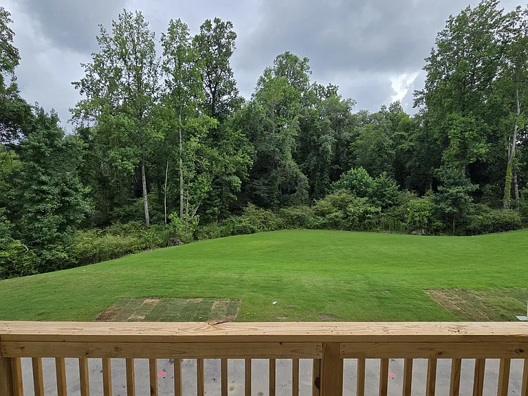 803 Lucky Clover Way — Photo 19