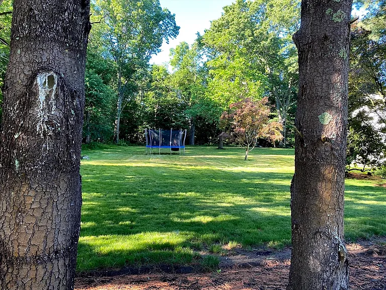15 Winchester Dr — Photo 5