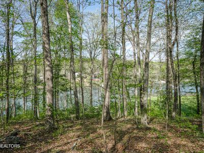 25 Claremont Cir, Fairfield Glade, TN, 38558