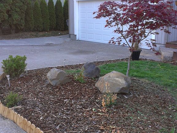 Large Rocks With Japenese Maple