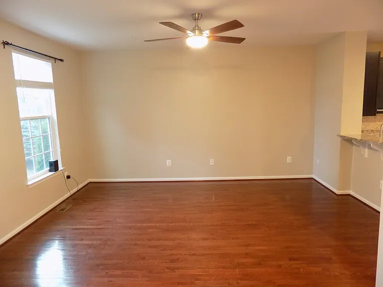 Main Level