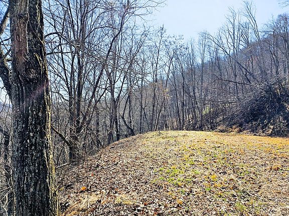 2nd image of 39 Merlin Trail Warbler Rd