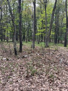 LOT 100 Trailwood Dr, Minocqua, WI, 54548