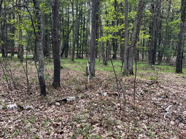 LOT 100 Trailwood Dr, Minocqua, WI 54548