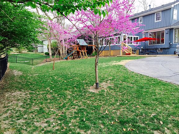 Backyard Oasis