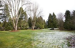 5th image of 1024 134th Ave NE