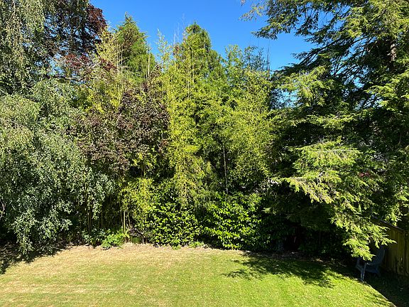 Back yard: viewing from deck