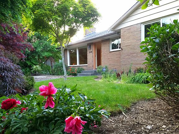 Grassy Island Paradise