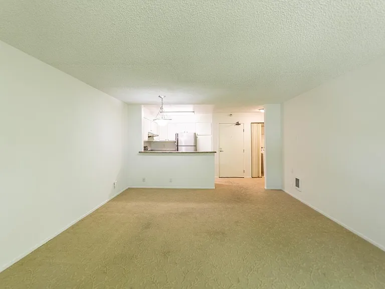 39029 Guardino Dr #217 — Photo 4