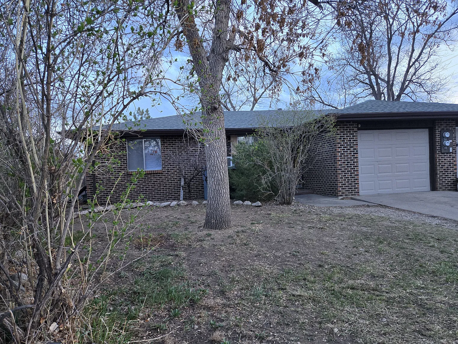 947 Tiffany Pl — Photo 1