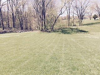 5th image of 903B Melody Ln