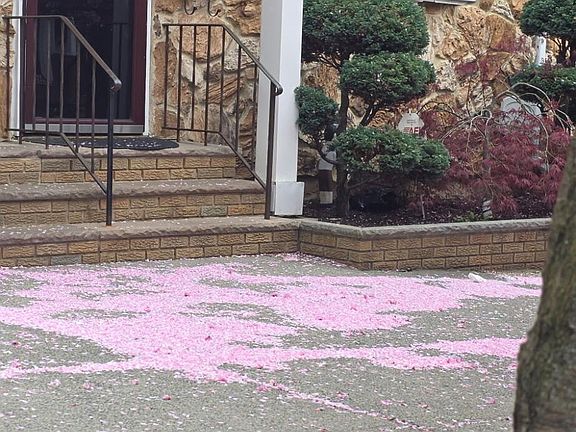 2nd image of 249 Sand Ln