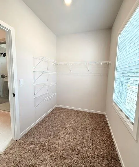 5369 Windridge Pkwy — Photo 36