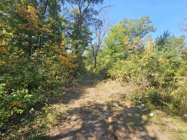 1009 S Walnut Ave, White Cloud, MI 49349