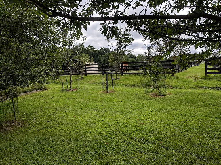 W Wind Ln — Photo 2