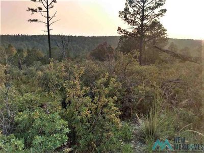 52 Milton Rd, Timberon, NM, 88350