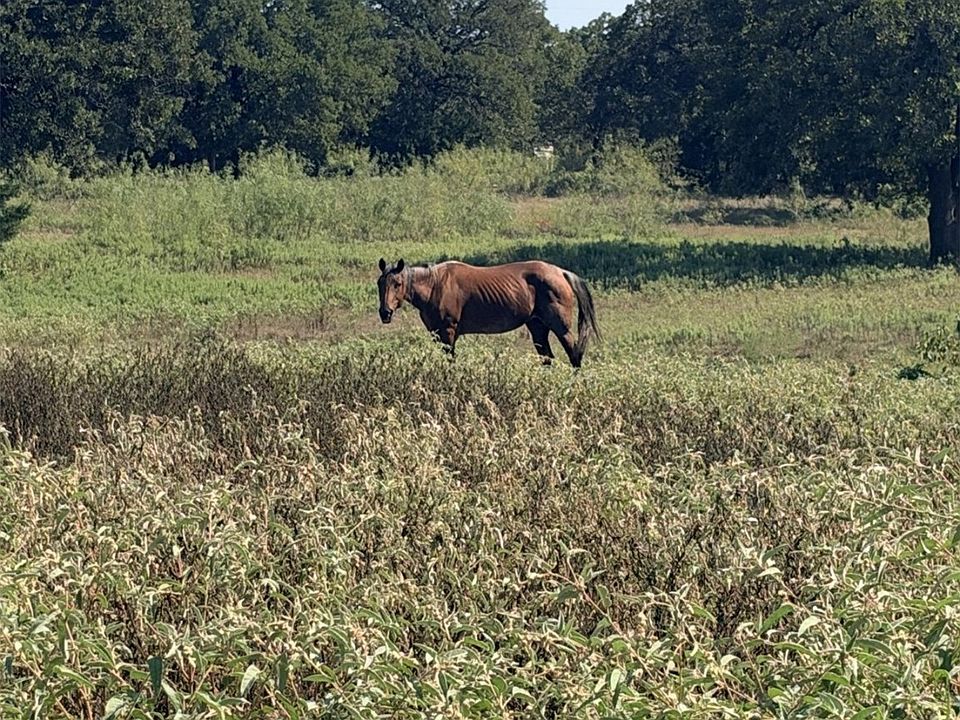 1st image of 5908 County Road 608