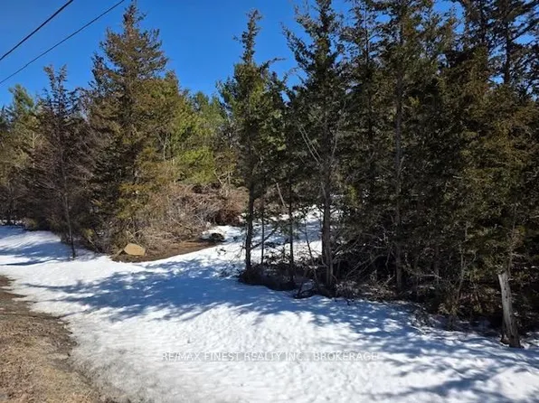 590 Love Rd, Loyalist, ON K0K 3N0