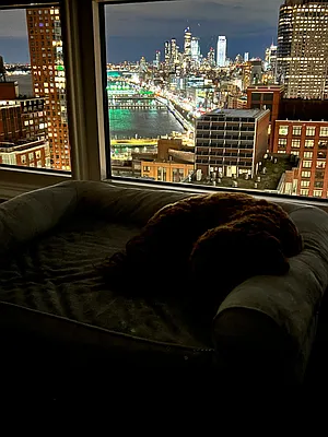 Rented by NY Living Solutions | media 24