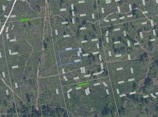 4712 Trevino Ave, Sebring, FL 33872