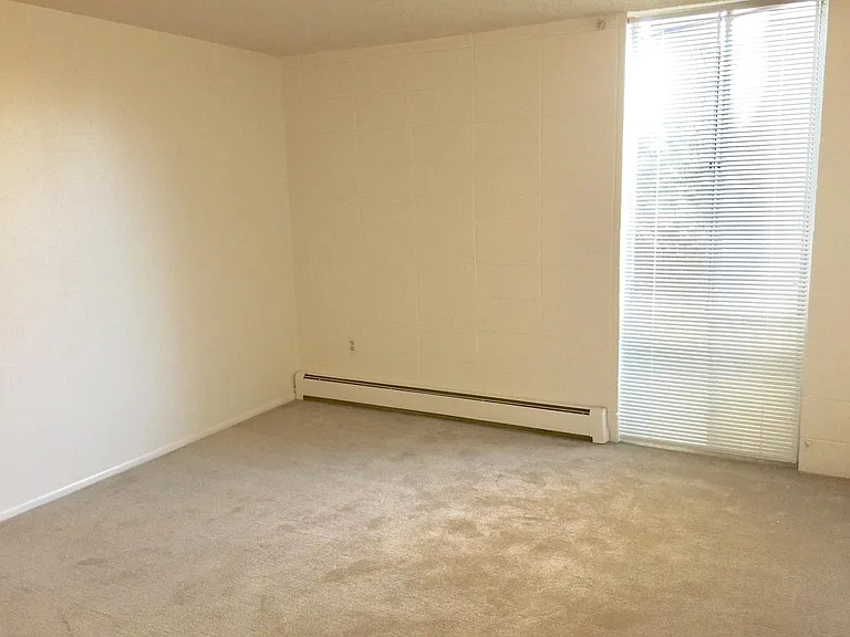 Large Bedroom with wall to wall carpet