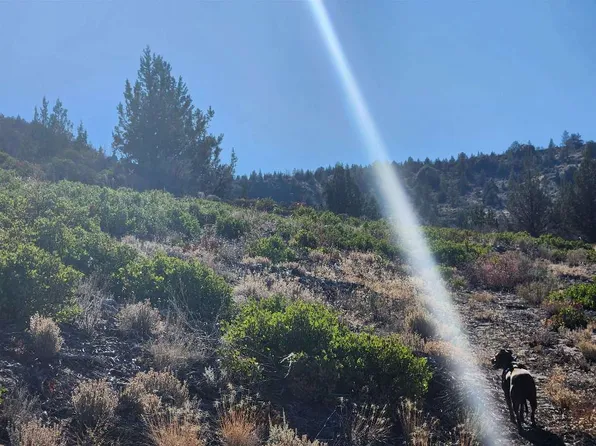 114 Acres Hwy #97, Montague, CA 96064